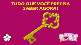 🌟 TUDO QUE VOCÊ PRECISA SABER AGORA 🌟 [upl. by Ricard]