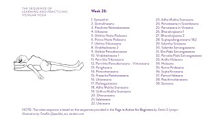 Week 28 Learning and Practicing Iyengar Yoga for Beginners [upl. by Fesoy]