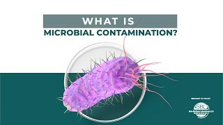 What is Microbial Contamination  Everything to Know [upl. by Bigelow]