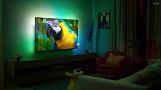 Philips 4K UHD Ambilight Android Tv with its miraculous features [upl. by Teyut]