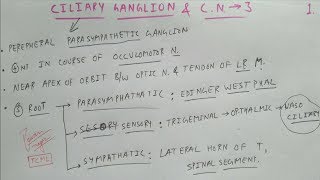 Ciliary Ganglion amp Oculomotor Nerve  1  Cranial Nerve  Neuro Anatomy  TCML [upl. by Nealy]