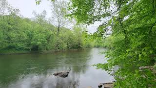 Peaceful River Flow and Rain Brandywine Creek State Park Wilmington Delaware [upl. by Isus648]