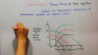 CVS 184  How sympathetic stimulation and inhibition affects cardiac output and venous return curve [upl. by Nawaj]