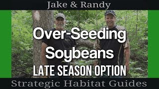 OverSeeding Soybeans with Other Food Plot Seeds [upl. by Halland974]