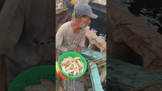 Bhaucha Dhakka fish market Mumbai big fish market in Mumbai fihsvlogs98🐟🦐🐠😷 [upl. by Adnak]