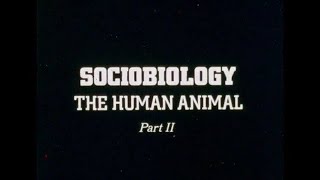 Sociobiology The Human Animal  Part II  1977 [upl. by Palermo]