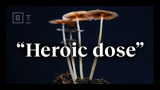 The “heroic dose” of psychedelics according to Johns Hopkins  Dr Matthew Johnson [upl. by Ylnevaeh]