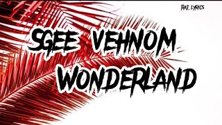 Sgee Vehnomwonderland lyrics [upl. by Cutter]