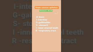 mnemonics structural organisation in animal [upl. by Bazar221]