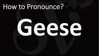 How to Pronounce Geese CORRECTLY [upl. by Sheng]