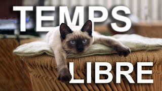 TEMPS LIBRE  PAROLE DE CHAT [upl. by Tallou]