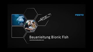 Bauanleitung für das bionische Fischmodell [upl. by Asaret876]