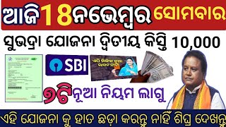 todays morning news odisha  18 November 2024  Subhadra online registration  odisha news today [upl. by Errised]