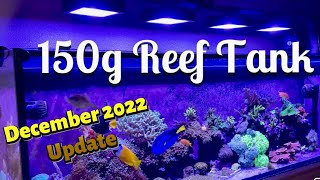 150g Reef Tank Update December 2022 [upl. by Budd872]