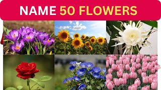 Can you name the different flowers  Flowers name  Learn the flowers name [upl. by Grannia]