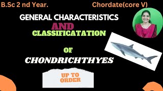 Chondrichthyes classification up to order bsc 2nd yearchondrichthyeschordatesbsc2ndyearzoology [upl. by Fari]