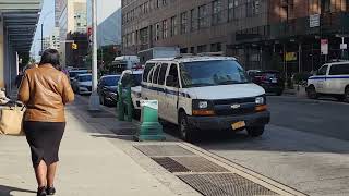 DOWNTOWN BROOKLYN NEW YORK CITY [upl. by Dennett]