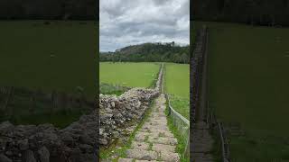 Hadrians Wall Built from 122AD running for 73 miles across the north of England history uk fyp [upl. by Rehpinnej]