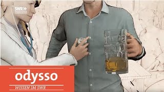 Wie sich der Körper vom Alkohol erholt  SWR Wissen [upl. by Schmitt]