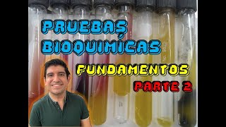 Pruebas Bioquímicas 2 [upl. by Imas530]