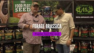 4S Plantler Food Plot Seed  Forage Brassica [upl. by Yatnwahs]