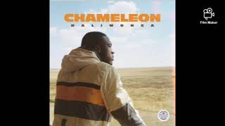 Daliwonga  Chameleon feat Dj Maphorisa amp Kabza De Small [upl. by Adnovoj]