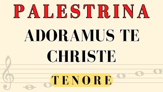 Palestrina  Adoramus te christe Tenore [upl. by Nylek634]