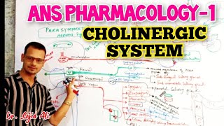 Cholinergic System  ANS Pharmacology [upl. by Anehc]