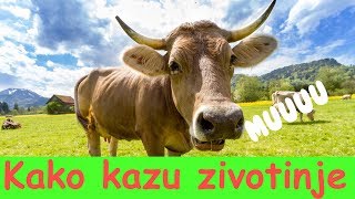 Kako Kazu Zivotinje  Zivotinje Na Farmi [upl. by Sherilyn]