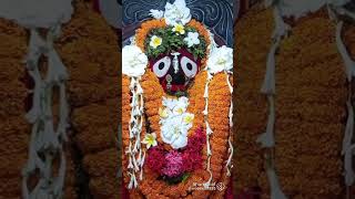 Jay Jagannath 🙏⭕‼️⭕ YouTube short video [upl. by Rimisac]