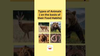 Types of animals on the basis of their food habits [upl. by Ahkos]