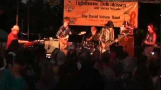 David Nelson Band  Last Frontier [upl. by Marylin527]