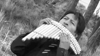 Bolivian Pan Flute Tito Vargas [upl. by Irodim998]