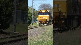 PN 010 and 8314 mobember EMD at Doomben crossing consist 2 light loco Route special via Pinkenba [upl. by Enyawud]