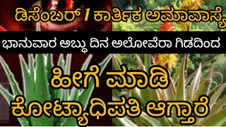 ಡಿಸೆಂಬರ್ 1 ಕಾರ್ತಿಕ ಅಮಾವಾಸ್ಯೆ ಭಾನುವಾರ ಅಬ್ಧು ದಿನ ಅಲೋವೆರಾ ಗಿಡದಿಂದ ಹೇಗೆ ಮಾಡಿ ಕೋಟ್ಯಾಧಿಪತಿ ಆಗ್ತಾರೆ [upl. by Druci]