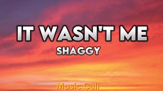 Shaggy It Wasnt MeLyrics [upl. by Lennon546]