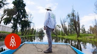 Fighting to Keep Mexico’s Floating Farms Alive [upl. by Nedac]