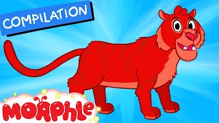 My Pet Tiger  My Magic Pet Morphle Episode 32 [upl. by Fara489]