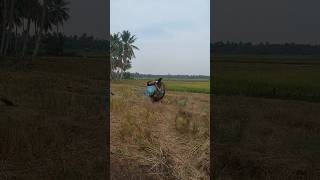 Ojek sawah rasa adventure fypシ゚viral automobile ojekgabah motocross shortvideos [upl. by Ynnij405]