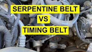 Serpentine Belt vs Timing Belt  What Is The Difference [upl. by Triplett]