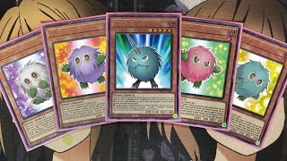 My Kuriboh Yugioh Deck Profile for Post Brothers of Legend [upl. by Ayanet289]