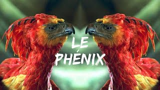 Le Phénix dans Harry Potter  Étranges Créatures 11 [upl. by Irap]