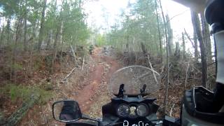 VStrom 650 Trail Riding [upl. by Umberto97]