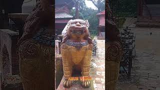 LION GOD VAHANA OF LORD DURGA MATA lion god arunvlogs shorts youtubeshorts arunvlogs7987 [upl. by Stockmon654]