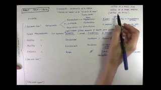 Filosofía de KANT Español [upl. by Idnam]