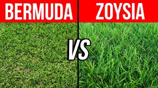 Bermuda vs Zoysia  Pros Cons and Tips to Help You Choose the Best Grass for Your Lawn [upl. by Aynod771]