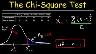 Chi Square Test [upl. by Silra]