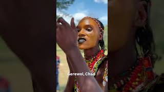 africa indigenous chad gerewol fulanii [upl. by Dimo856]