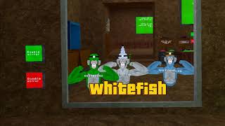 Whitefish Live Stream [upl. by Inaj]