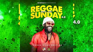 DJ Kayla G  Reggae On A Sunday Vol 4 TARRUS RILEY EDITION Mix [upl. by Dode]